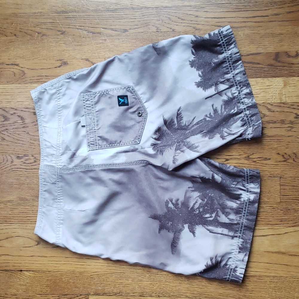 Size 28 Board Shorts American Eagle Outfitter Vintage Swim Shorts Lace Up - Picture 2 of 7